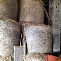 Fieno primo taglio eccellente