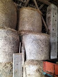 Fieno primo taglio eccellente