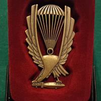 Brevetto Nuotatori Paracadutisti Regg. S. Marco