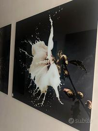 quadro in vetro