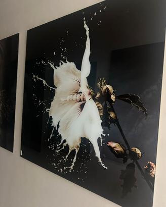 quadro in vetro