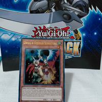 droll e uccello serratura 