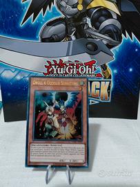 droll e uccello serratura 