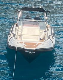 ZAR 75 SUITE PLUS + 2x150hp SUZUKI (TUTTO 2013)