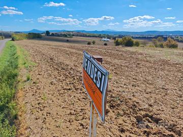 terreno agricolo 