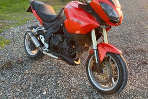 Triumph Tiger - 2007