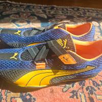 Puma colori Renault F1 