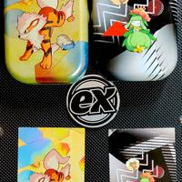 Pokémon - Due tin e una moneta