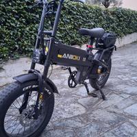 Bici elettrica fat bike