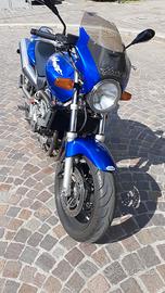 moto HORNET 600