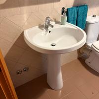 Lavandino ceramica bianca con colonna