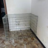 Kennel
