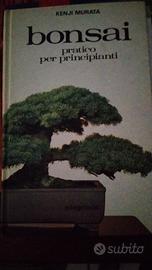 Bonsai pratico per principianti 