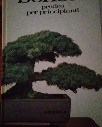 Bonsai pratico per principianti 