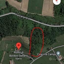 Terreno Boscato