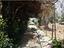 Immagine 14