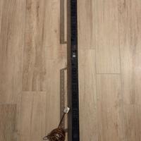 APC Rack PDU