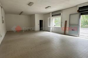 Negozio Collesalvetti [Rif. 414/BVCG]