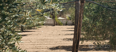 Terreno agricolo a Monteiasi