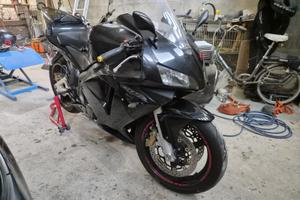 Honda cbr 600 rr