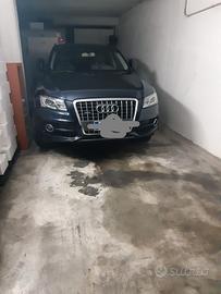 Auto audi
