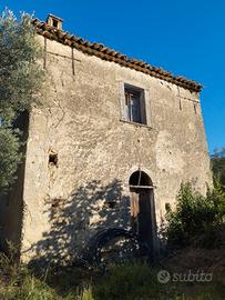 Terreno con uliveto e fabbricato rurale