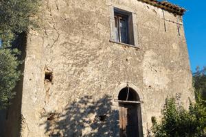 Terreno con uliveto e fabbricato rurale