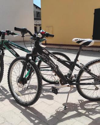 2 Biciclette ragazzo