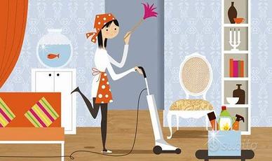 pulizie/baby Sitter 
