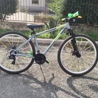 MTB stucchi 29 customizzata