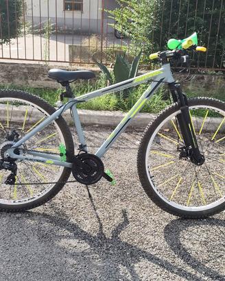 MTB stucchi 29 customizzata
