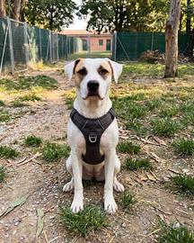 Ofelia aspetta te, 3 anni, dolcissima