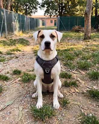 Ofelia aspetta te, 3 anni, dolcissima