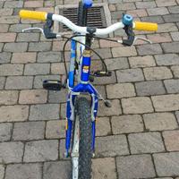 Bicicletta bambino 20