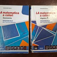 La matematica a colori 1