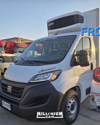 FIAT DUCATO 2023 CELLA 3,10 FRC