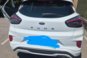 Puma tenuta bene