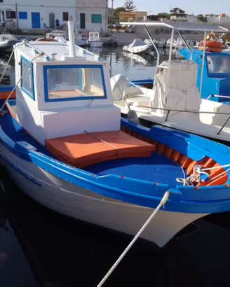 Barca legno, resinata, motore entrobordo