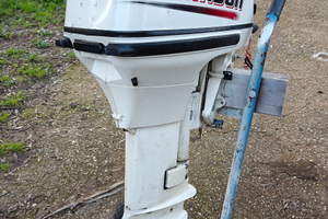 Motore fuoribordo Johnson 15cv 2t