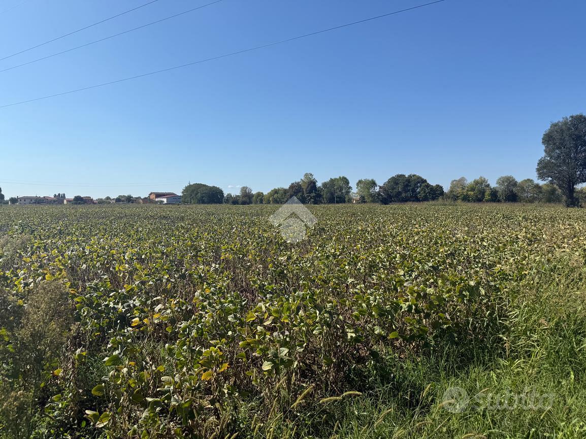 TER. AGRICOLO A BORGORICCO - Vista 4