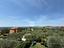 Immagine 17