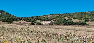 Sant'antioco - ampio terreno con rudere