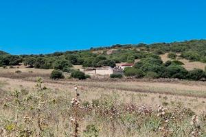 Sant'antioco - ampio terreno con rudere