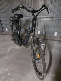 Bottecchia BeGreen 2010 elettrica