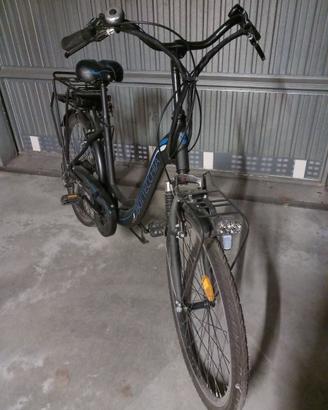 Bottecchia BeGreen 2010 elettrica