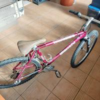 bicicletta uomo BIANCHI XC 311