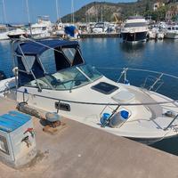 BAYLINER TROPHY PRO 20.52 + 150 MERCURY (2015)