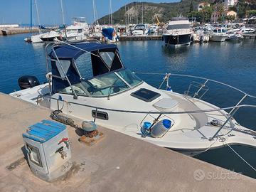 BAYLINER TROPHY PRO 20.52 + 150 MERCURY (2015)