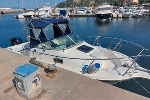 BAYLINER TROPHY PRO 20.52 + 150 MERCURY (2015)