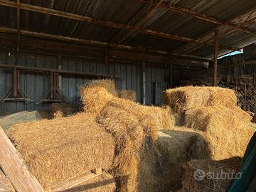 Ballette di fieno misto erba medica